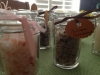 The Lineup - Gourmet Salt Bottles